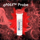 Accuris qMAX™ Probe Real Time PCR Mix